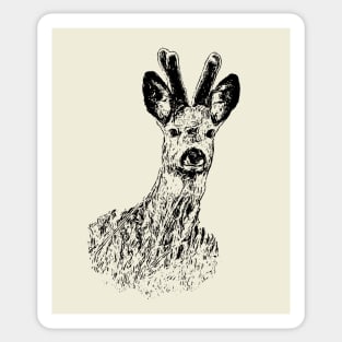 Roebuck Sticker